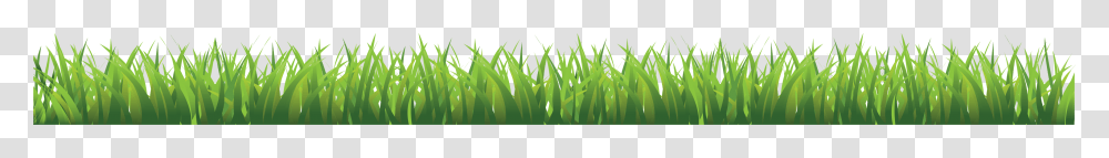 Grass, Nature, Plant, Lawn, Green Transparent Png