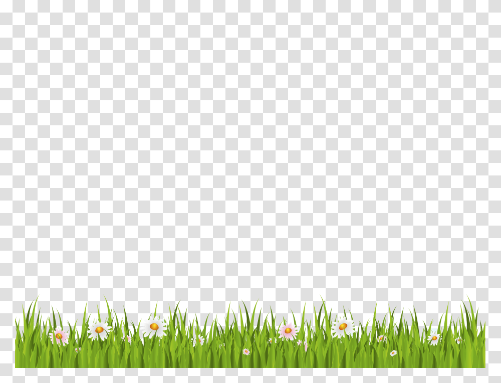 Grass, Nature, Plant, Lawn, Green Transparent Png