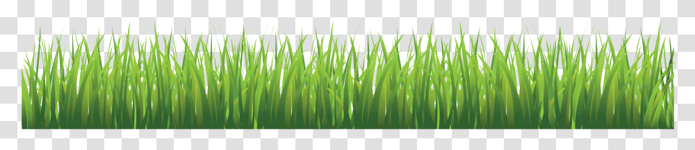 Grass, Nature, Plant, Lawn Transparent Png