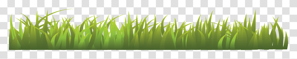 Grass, Nature, Plant, Lawn Transparent Png