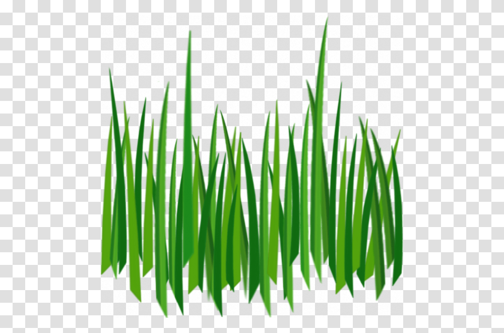 Grass, Nature, Plant, Vegetation, Bush Transparent Png