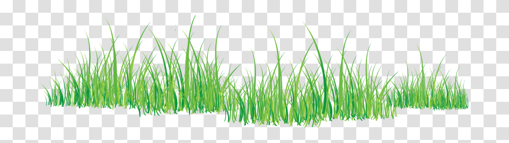 Grass, Nature, Plant, Vegetation, Bush Transparent Png