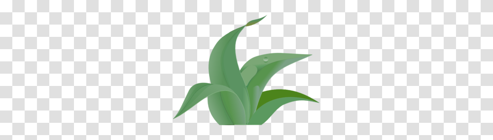 Grass Outline Clipart Free Clipart, Plant, Leaf, Aloe, Flower Transparent Png