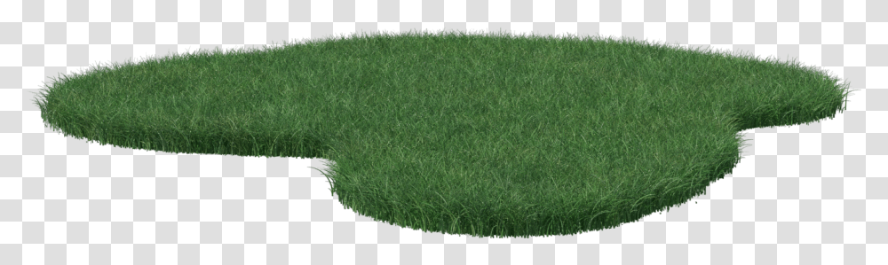 Grass Patch, Plant, Field, Lawn, Wool Transparent Png