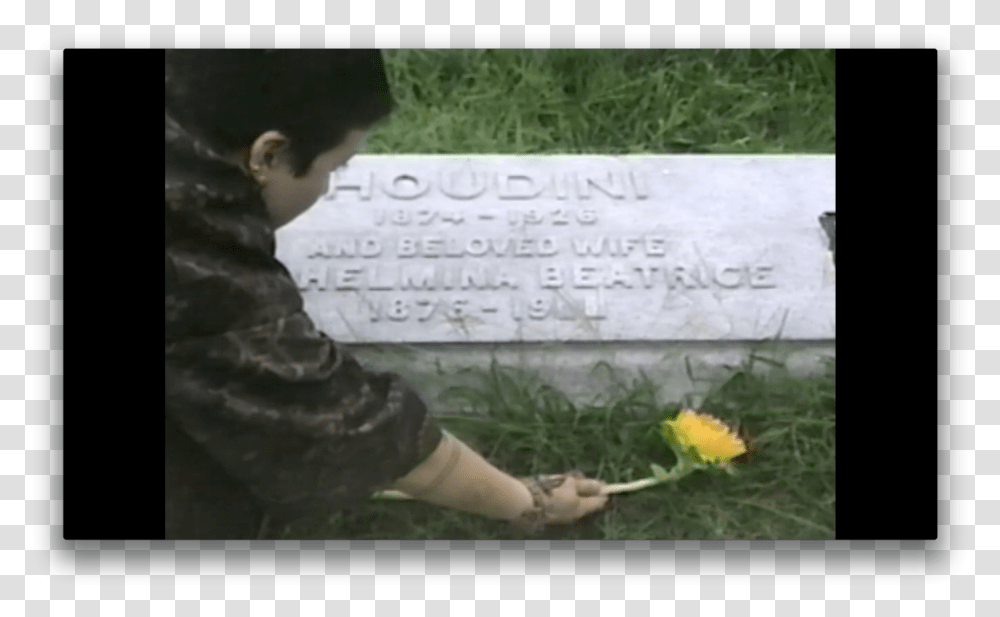 Grass, Person, Human, Tomb, Flower Transparent Png