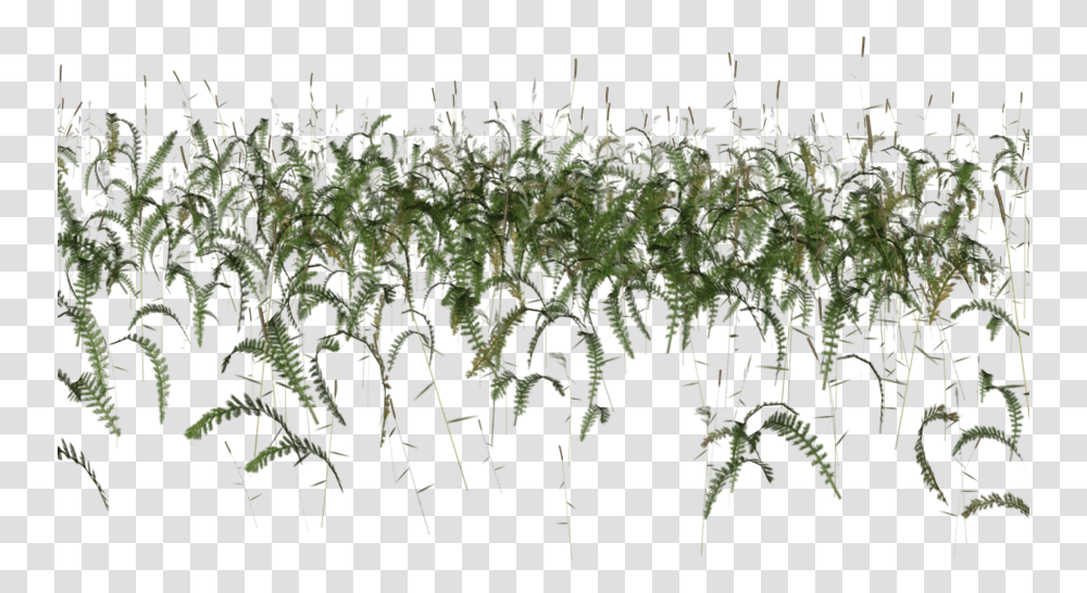 Grass Photoshop Cutout Fish Photoshop, Plant, Potted Plant, Vase, Jar Transparent Png