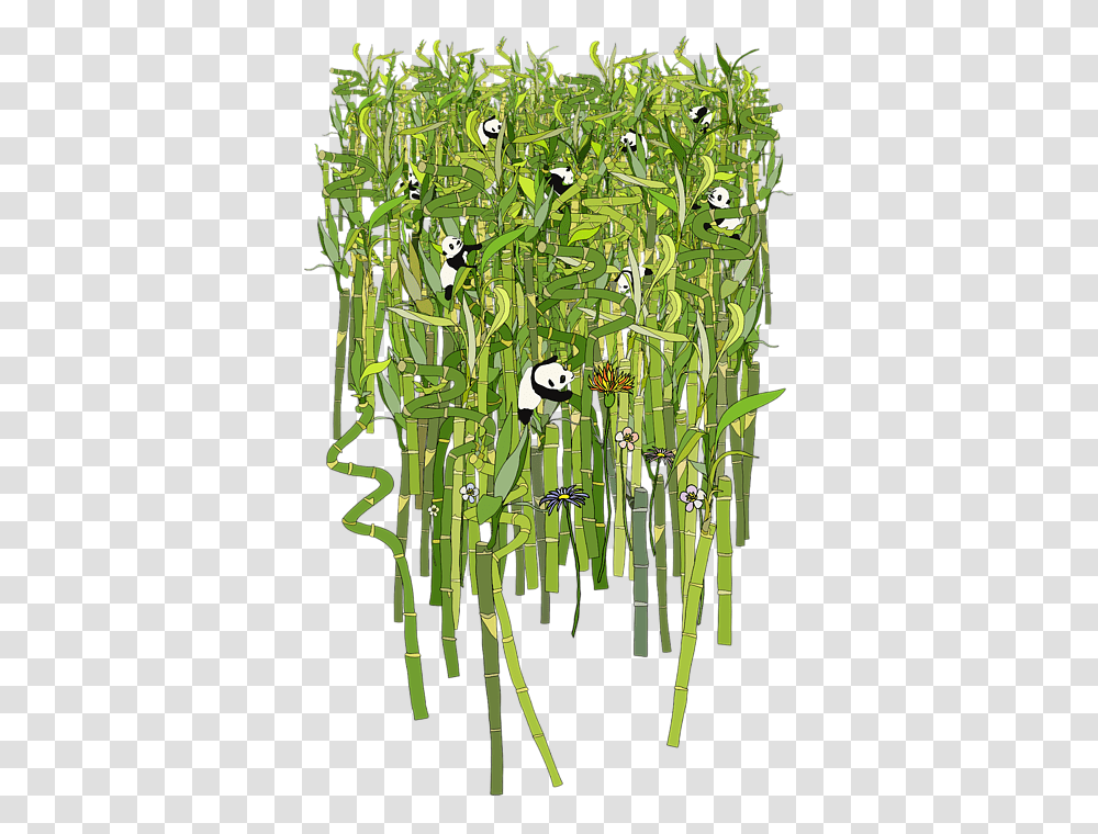 Grass, Plant, Bamboo Transparent Png