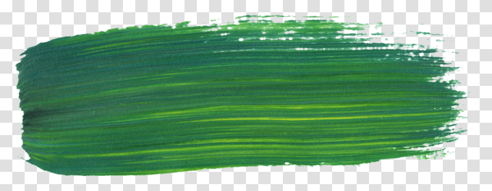 Grass, Plant, Green, Field, Bird Transparent Png