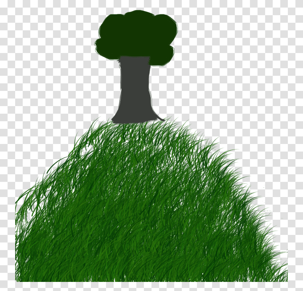 Grass, Plant, Green, Moss, Lawn Transparent Png