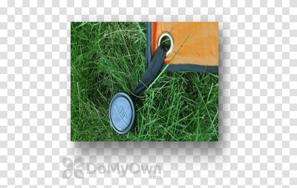 Grass, Plant, Lawn, Lawn Mower, Tool Transparent Png