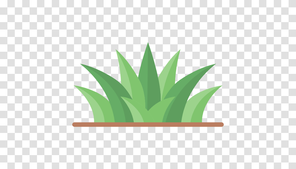 Grass, Plant, Leaf, Arrow Transparent Png