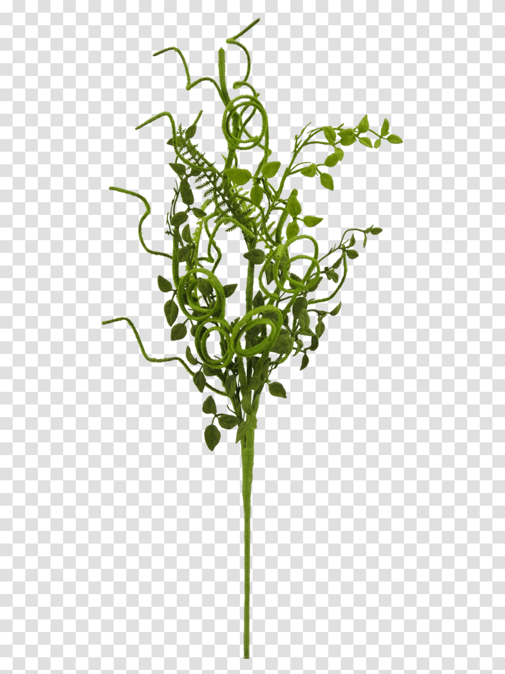 Grass, Plant, Moss, Cross Transparent Png