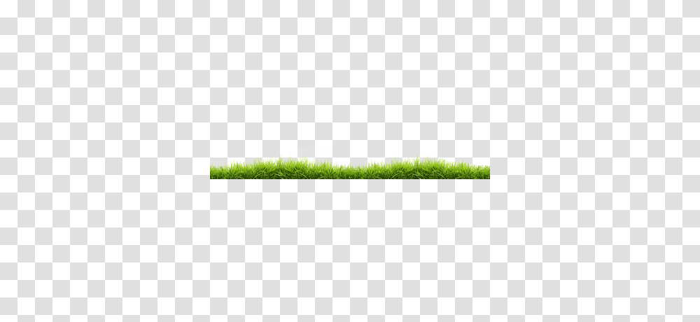 Grass, Plant, People, Field, Screen Transparent Png