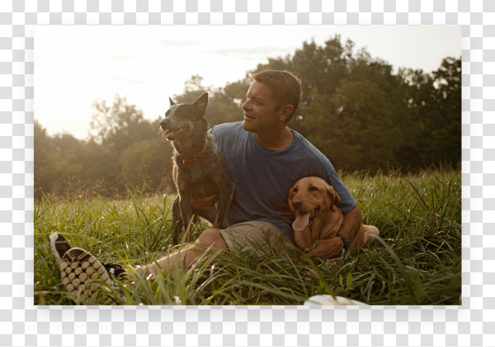 Grass, Plant, Person, Canine, Mammal Transparent Png