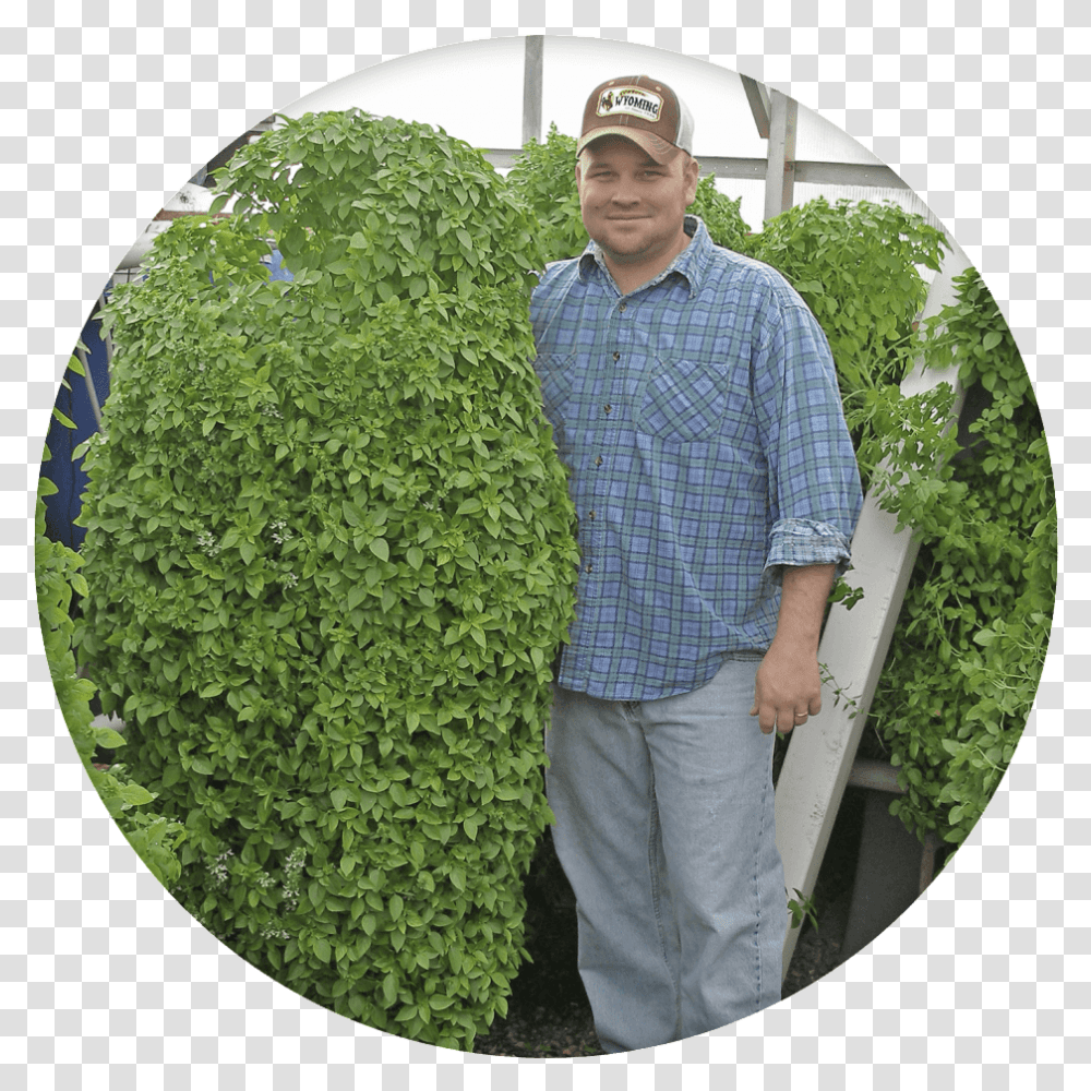 Grass, Plant, Person, Outdoors Transparent Png