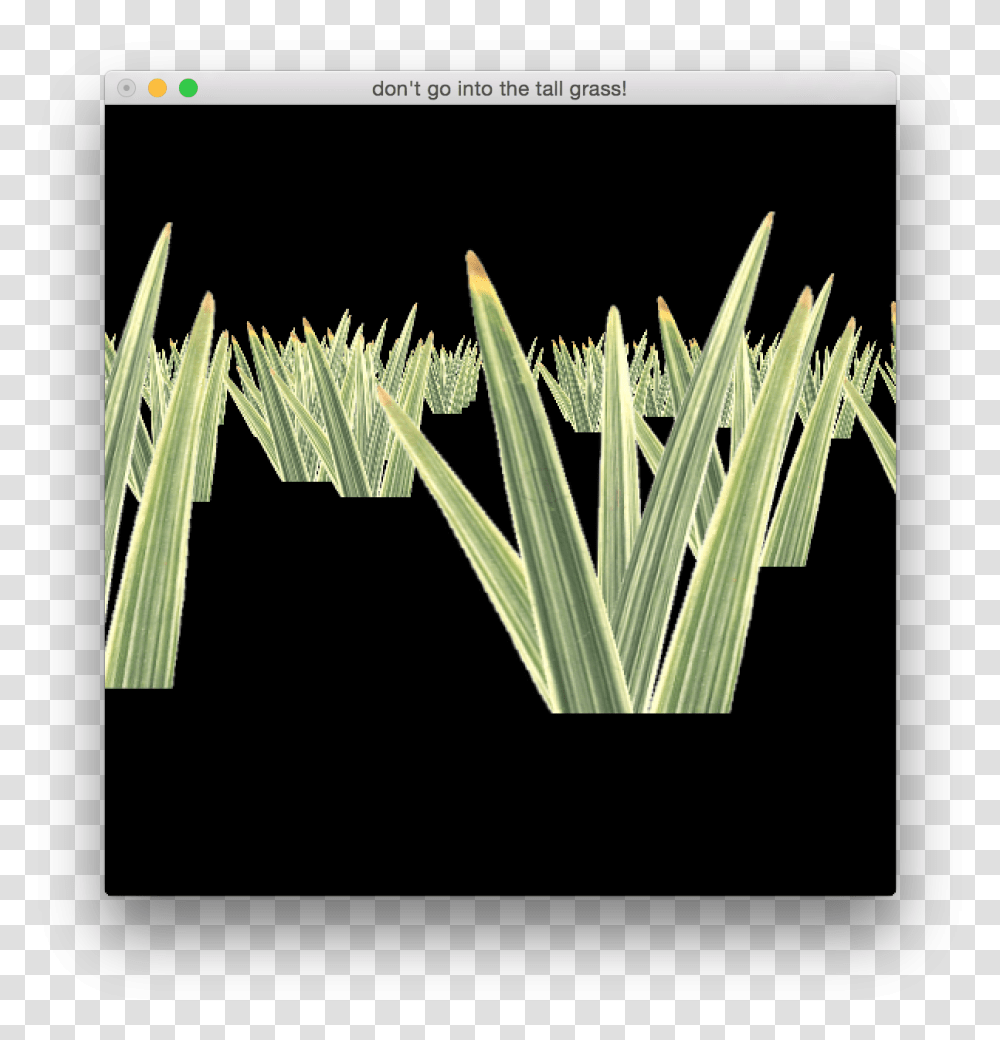 Grass, Plant, File, Word Transparent Png