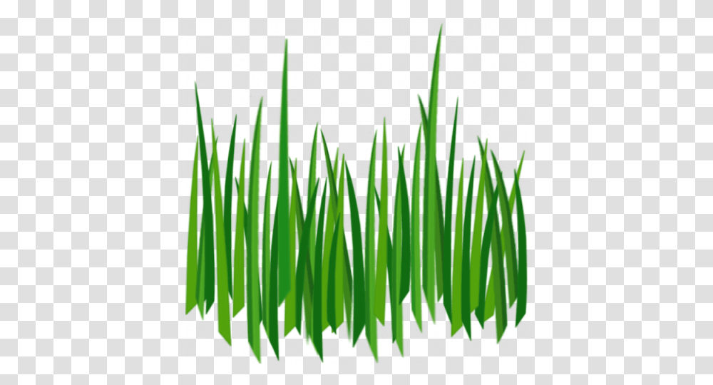 Grass, Plant, Tree, Coil, Spiral Transparent Png