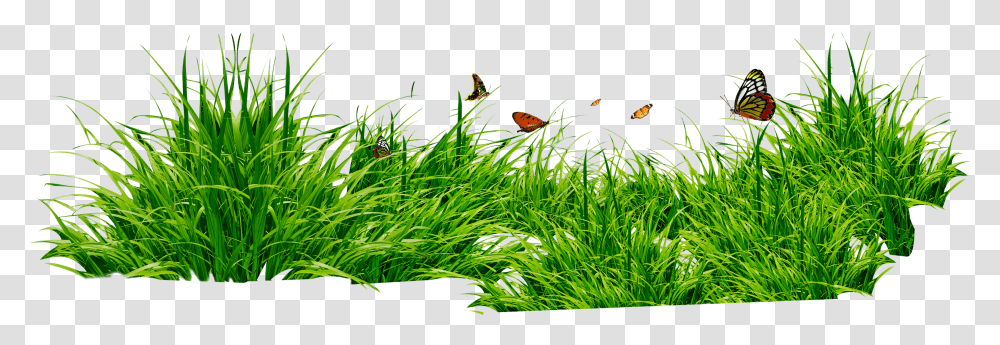 Grass, Plant, Vegetation, Animal, Bush Transparent Png