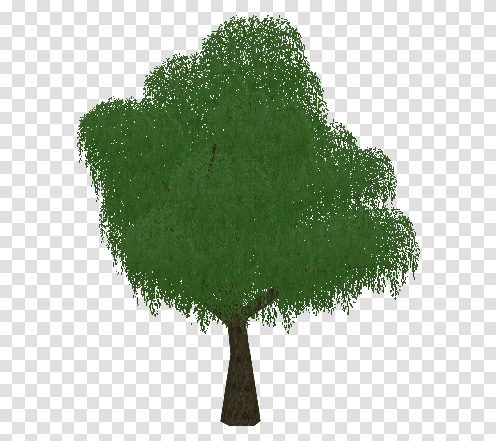 Grass, Plant, Vegetation, Bush, Tree Transparent Png