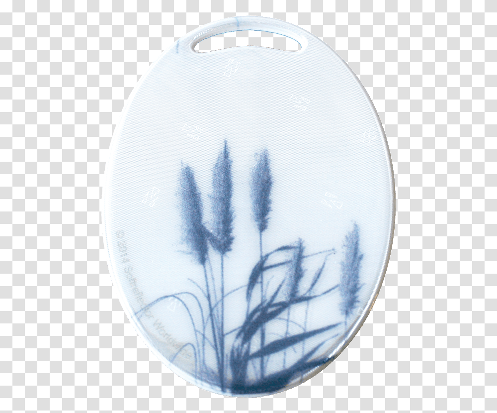 Grass, Porcelain, Pottery, Dish Transparent Png