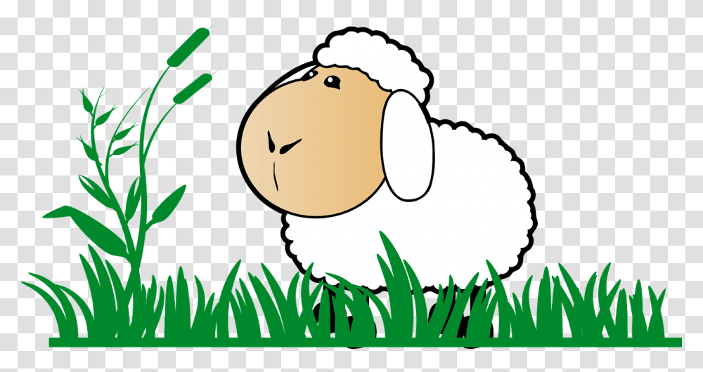 Grass Sheep Stand Watch Cartoon Green White Clipart Sheep, Plant, Animal, Mammal, Produce Transparent Png