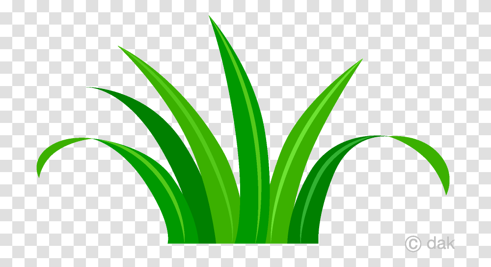 Grass Short Clipart Free Picture Grass Clipart, Plant, Leaf, Aloe, Flower Transparent Png