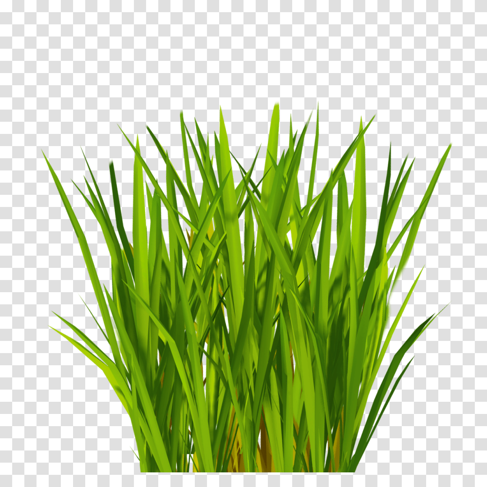 Grass Silhouette Wicked Artificial Grass Artificial Grass, Plant, Lawn, Agropyron, Vegetation Transparent Png