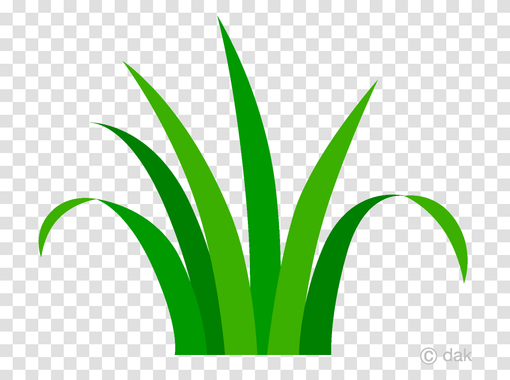 Grass Simple Clipart Free Picture Grass Clipart, Plant, Iris, Flower, Blossom Transparent Png