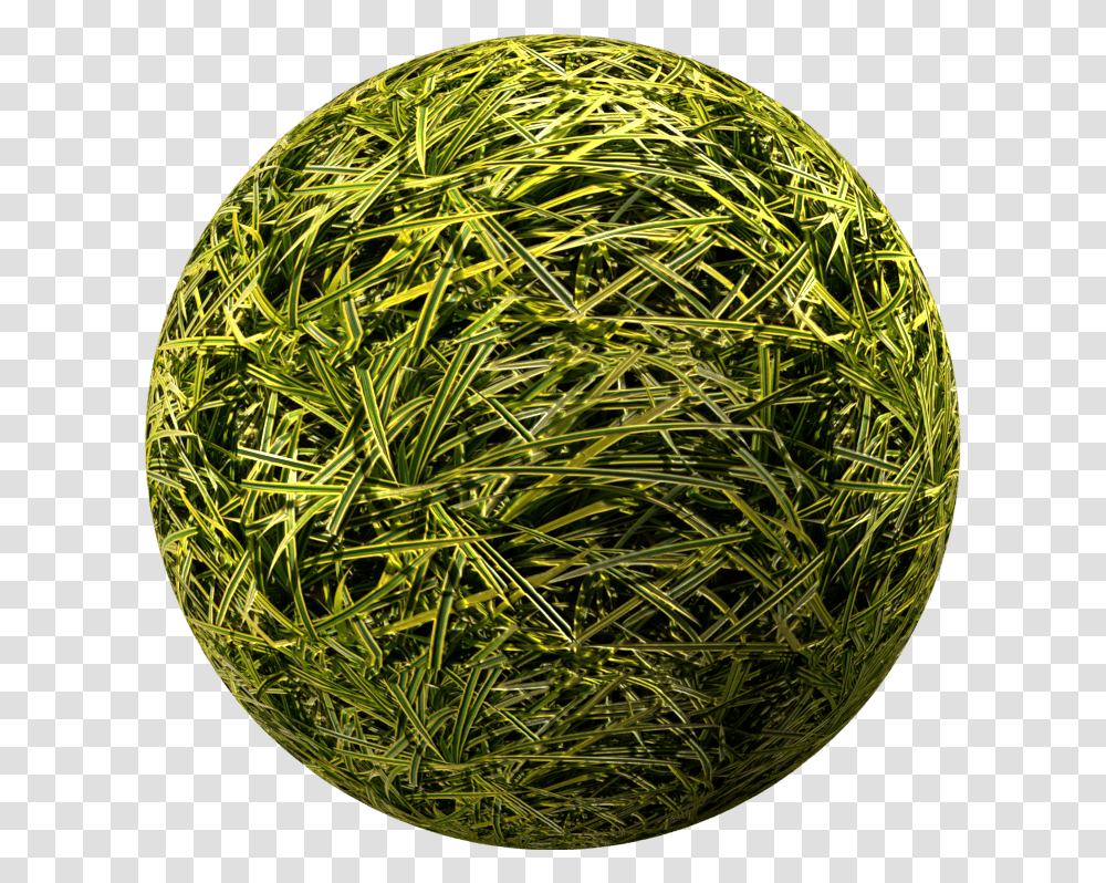 Grass, Sphere, Tennis Ball, Sport, Sports Transparent Png