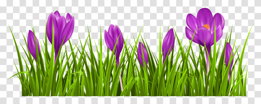 Grass Spring Je Me Suis Fait Tout Tous Transparent Png