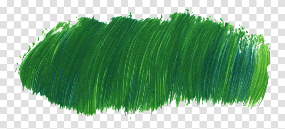 Grass Stain Brush Stroke Aesthetic, Green, Leaf, Plant, Vegetation Transparent Png