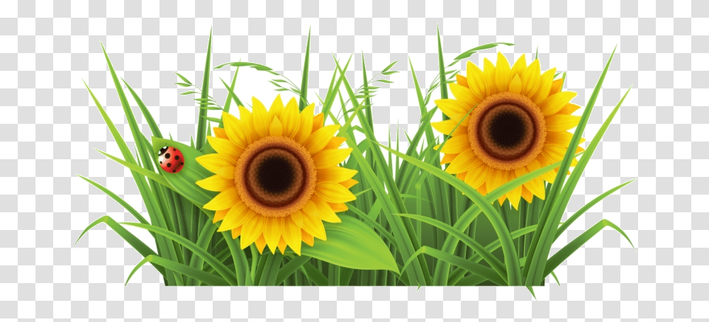 Grass Sunflower Background Images Clipart Free Grass Clipart, Plant, Blossom Transparent Png