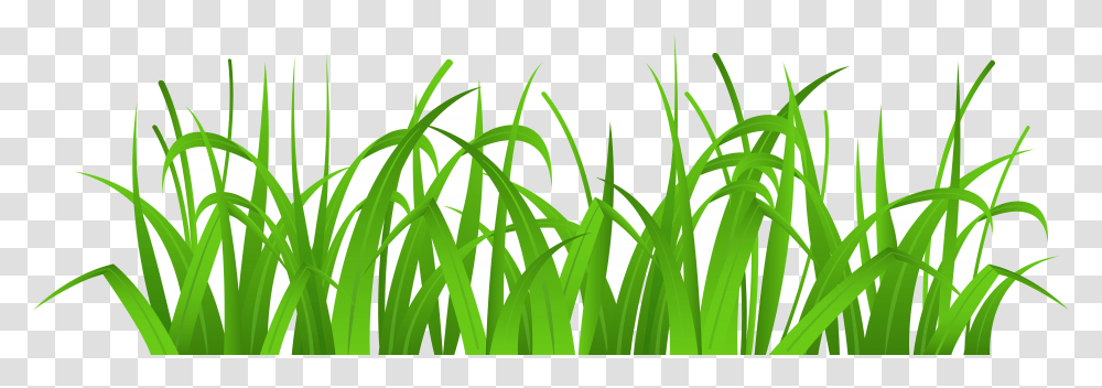 Grass Tallc Clipart Collection Grass Clip Art, Plant, Green, Vegetation, Nature Transparent Png