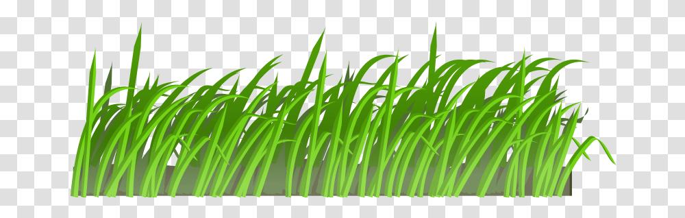 Grass Texture, Nature, Plant, Lawn Transparent Png