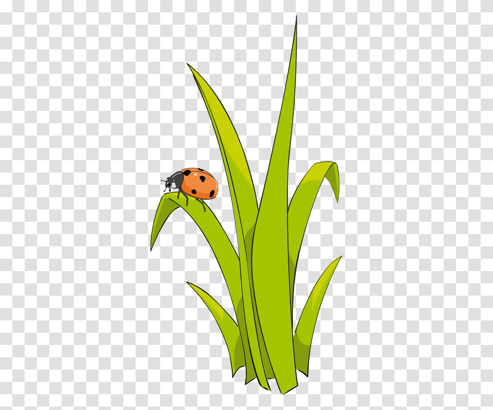 Grass To Use Hd Photo Clipart Clip Art Grass Cartoon, Plant, Giant Panda, Animal, Photography Transparent Png