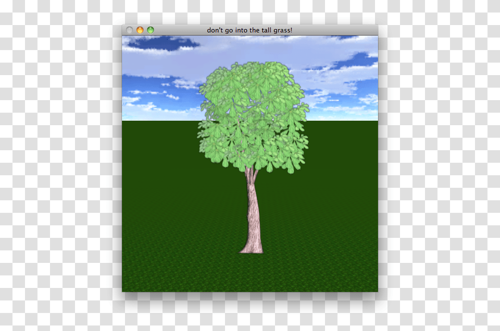 Grass, Tree, Plant, Tree Trunk, Maple Transparent Png