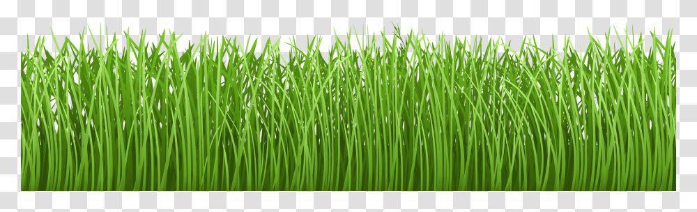 Grass Vector Grass Ground Transparent Png