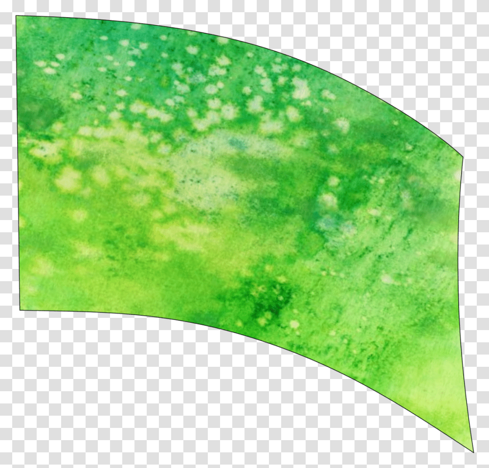 Grass, Water, Plant, Outdoors, Animal Transparent Png