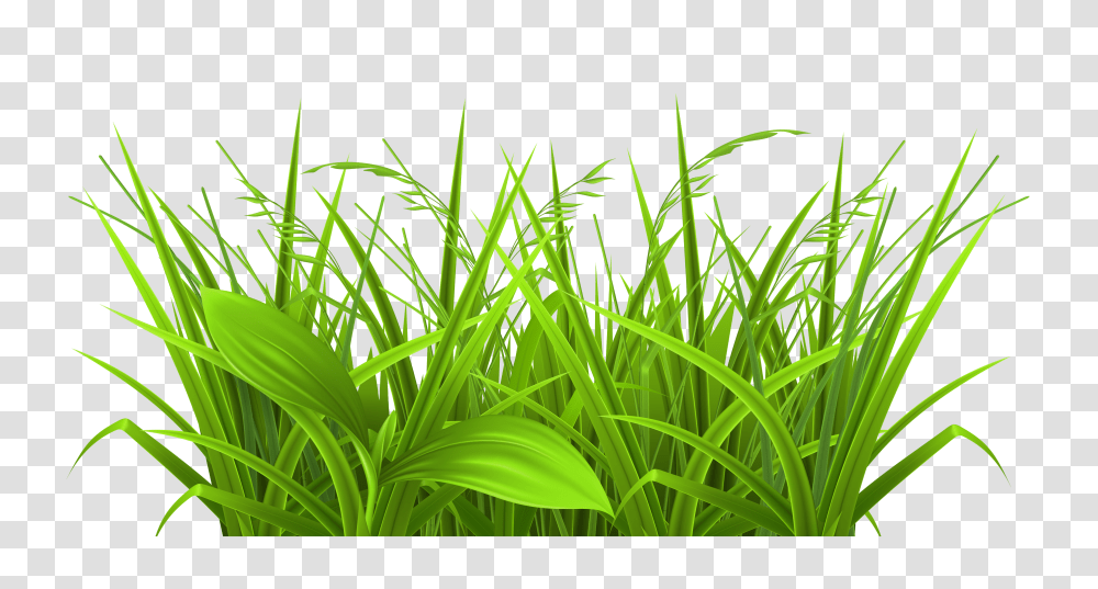Grass With Beautiful Poppies Clipart, Green, Plant, Vegetation Transparent Png