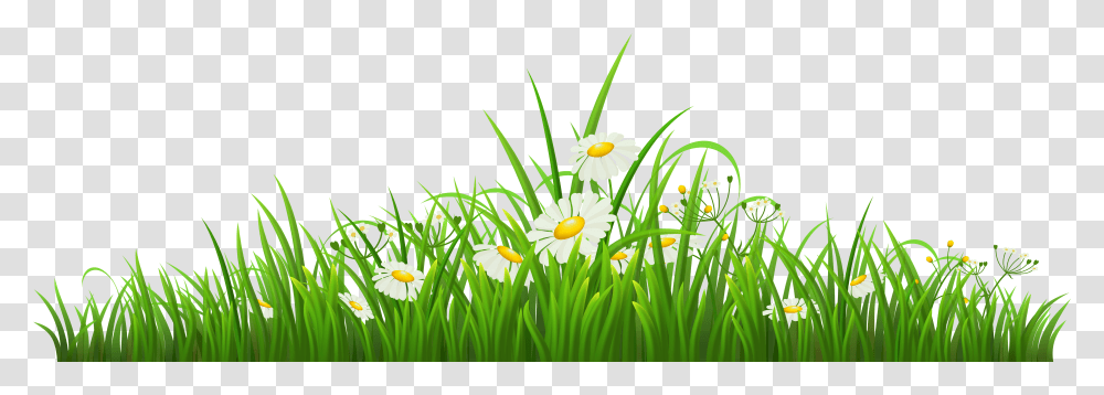 Grass With Chamomile Clipart Butterfly Cartoon Gif, Plant, Flower, Blossom, Petal Transparent Png
