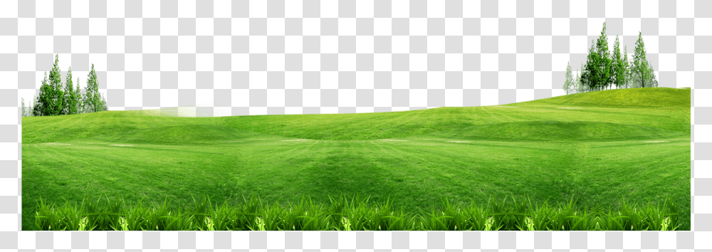 Grass With Flower Background Grass Background, Plant, Lawn, Field, Outdoors Transparent Png