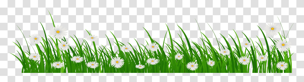 Grass With Flower Clipart Banner Freeuse Grass With Flowers And Grass, Plant, Daisy, Petal, Aster Transparent Png