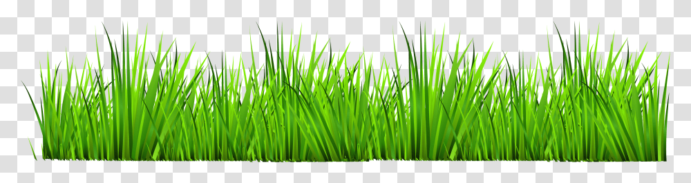 Grass With Flowers Clipart Grass Clipart, Plant, Lawn, Green Transparent Png