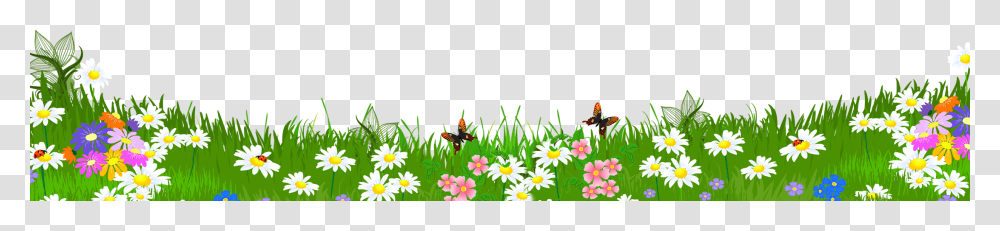 Grass With Flowers, Spring, Plant Transparent Png