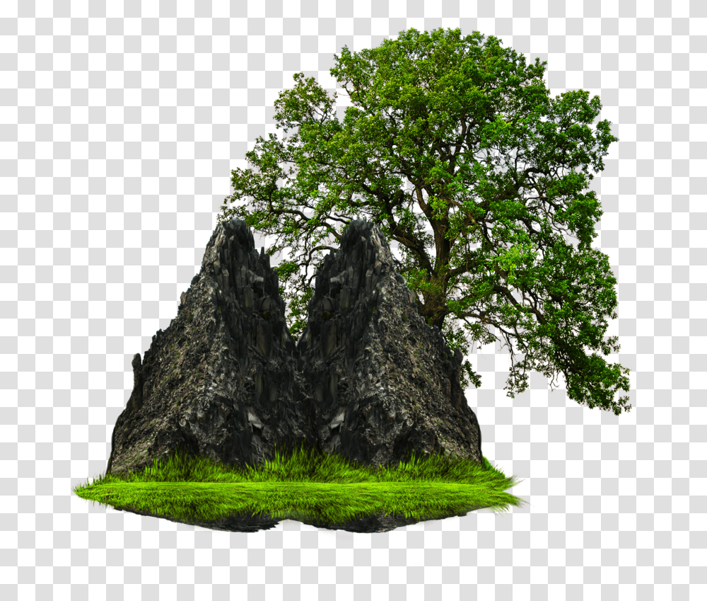 Grass With Tree And Rock Tree In Garden, Plant, Potted Plant, Vase, Jar Transparent Png