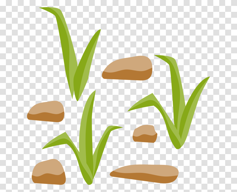 Grasses Rock Grass Gis Computer Icons Diagram, Plant, Vegetable, Food, Produce Transparent Png