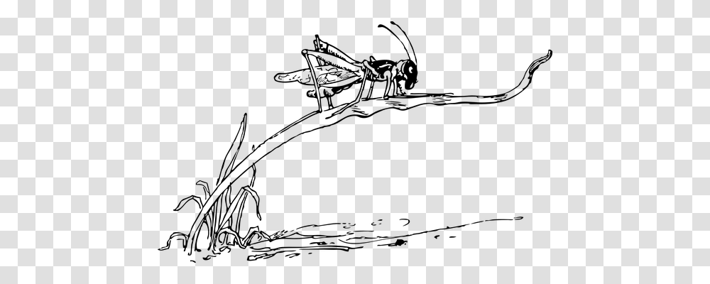 Grasshopper Nature, Gray, World Of Warcraft Transparent Png