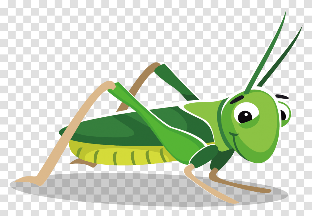 Grasshopper At Getdrawings Com Free For Personal Grasshopper Clipart, Insect, Invertebrate, Animal, Grasshoper Transparent Png