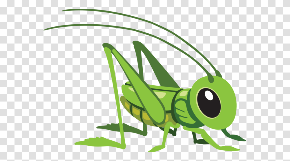 Grasshopper Cartoon Grasshopper, Invertebrate, Animal, Insect, Grasshoper Transparent Png