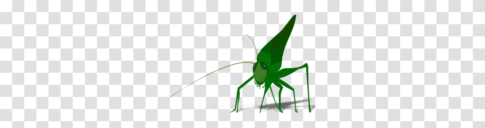 Grasshopper Clip Art Free Vector, Insect, Invertebrate, Animal, Grasshoper Transparent Png